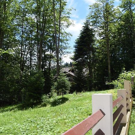 Alpin Residence Sinaia Exterior foto