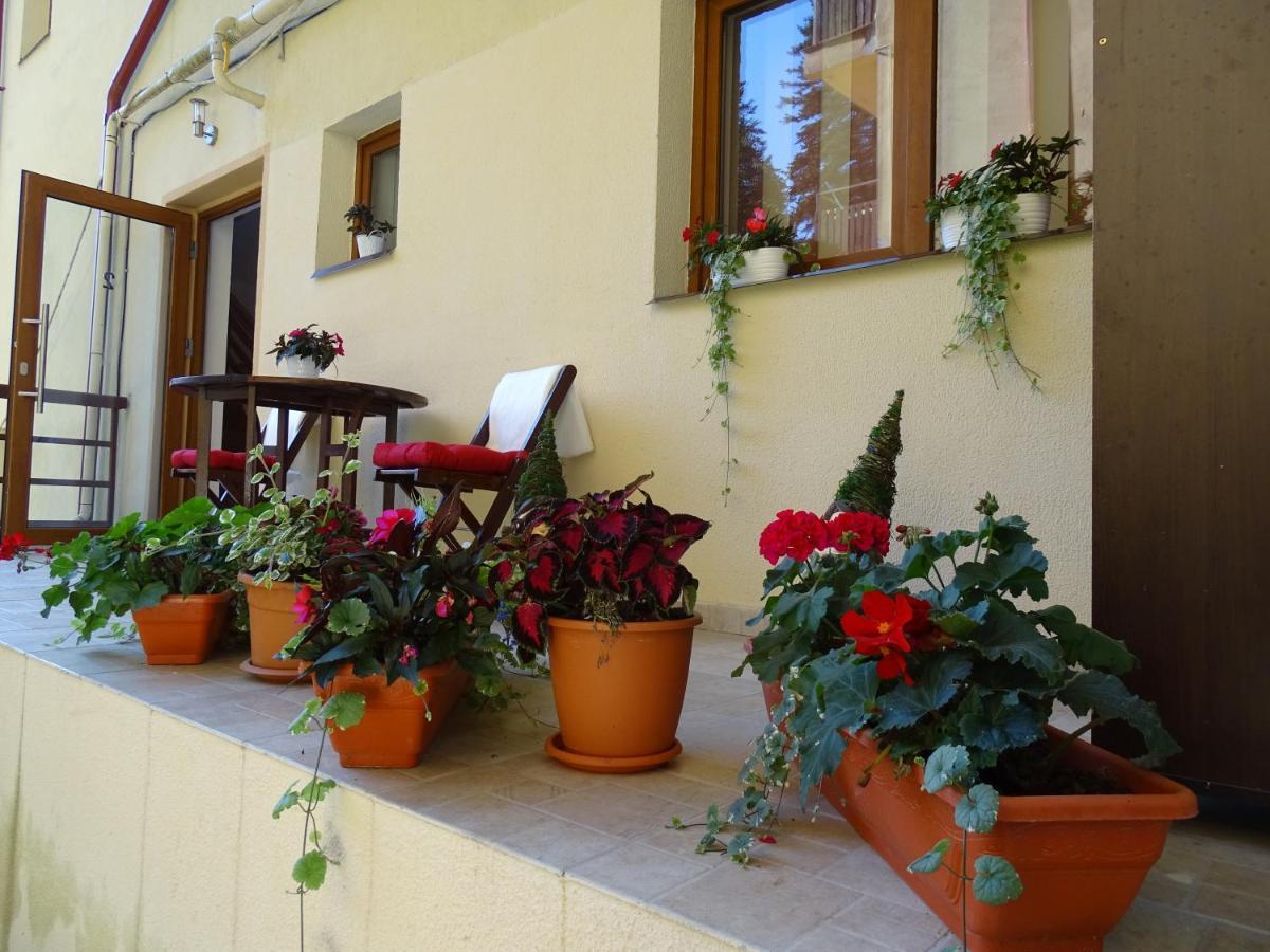 Alpin Residence Sinaia Exterior foto