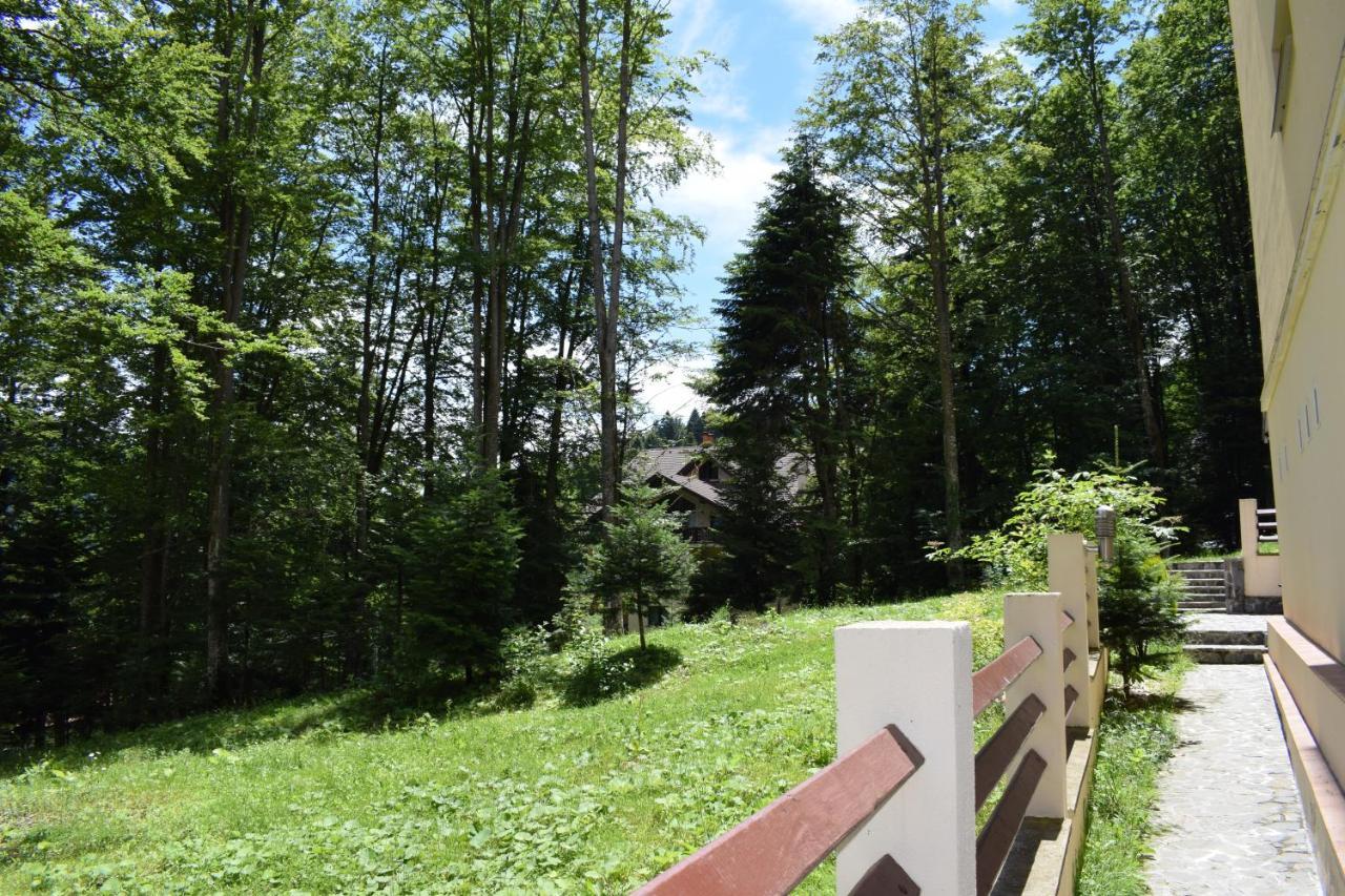 Alpin Residence Sinaia Exterior foto